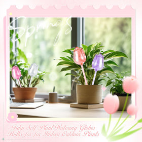 Ferrochef indoor plant care globes provide consistent watering and convenience