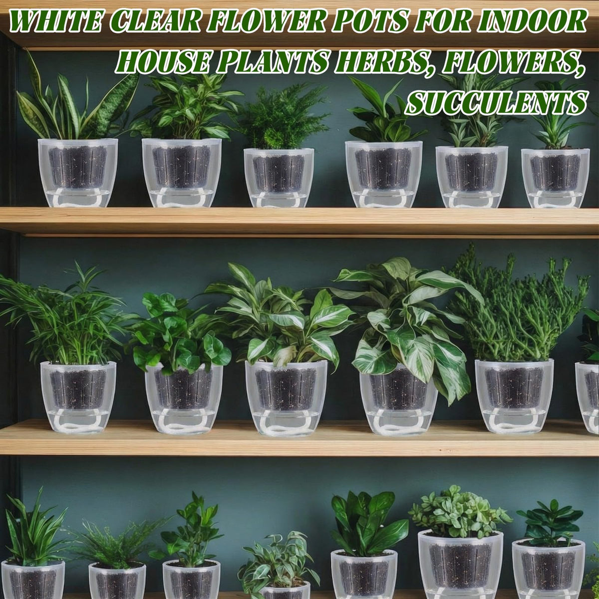 Ferrochef indoor windowsill gardening setup suited for small-space plants.