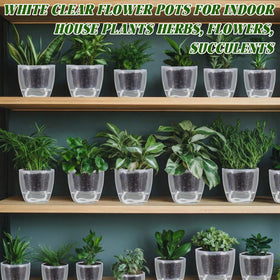 Ferrochef indoor windowsill gardening setup suited for small-space plants.