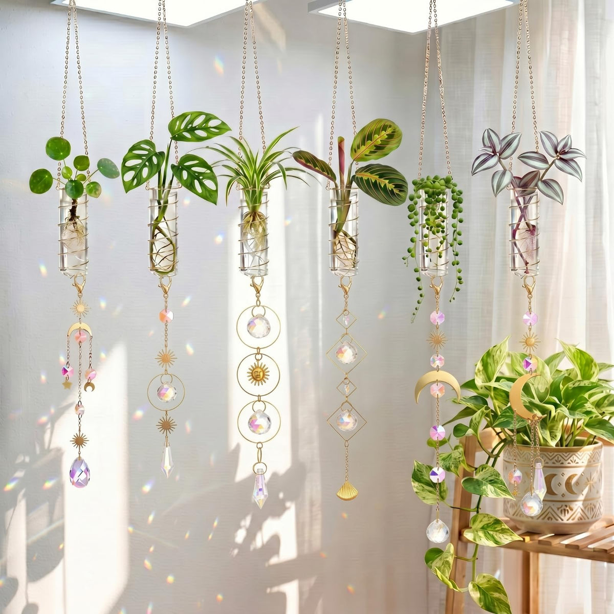 Ferrochef plant propagation station with crystal suncatcher, ideal for root viewing and decor.
