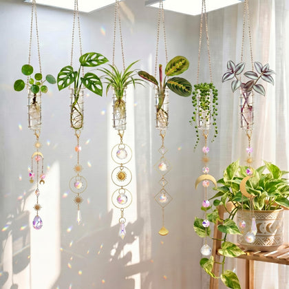 Ferrochef plant propagation station with crystal suncatcher, ideal for root viewing and decor.