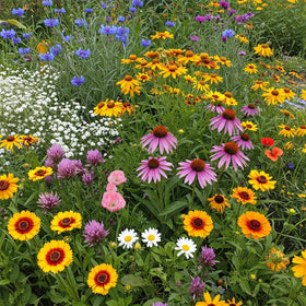 Ferry-Morse Midwest Mix seeds in a 1 lb bag, ideal for bulk planting.
