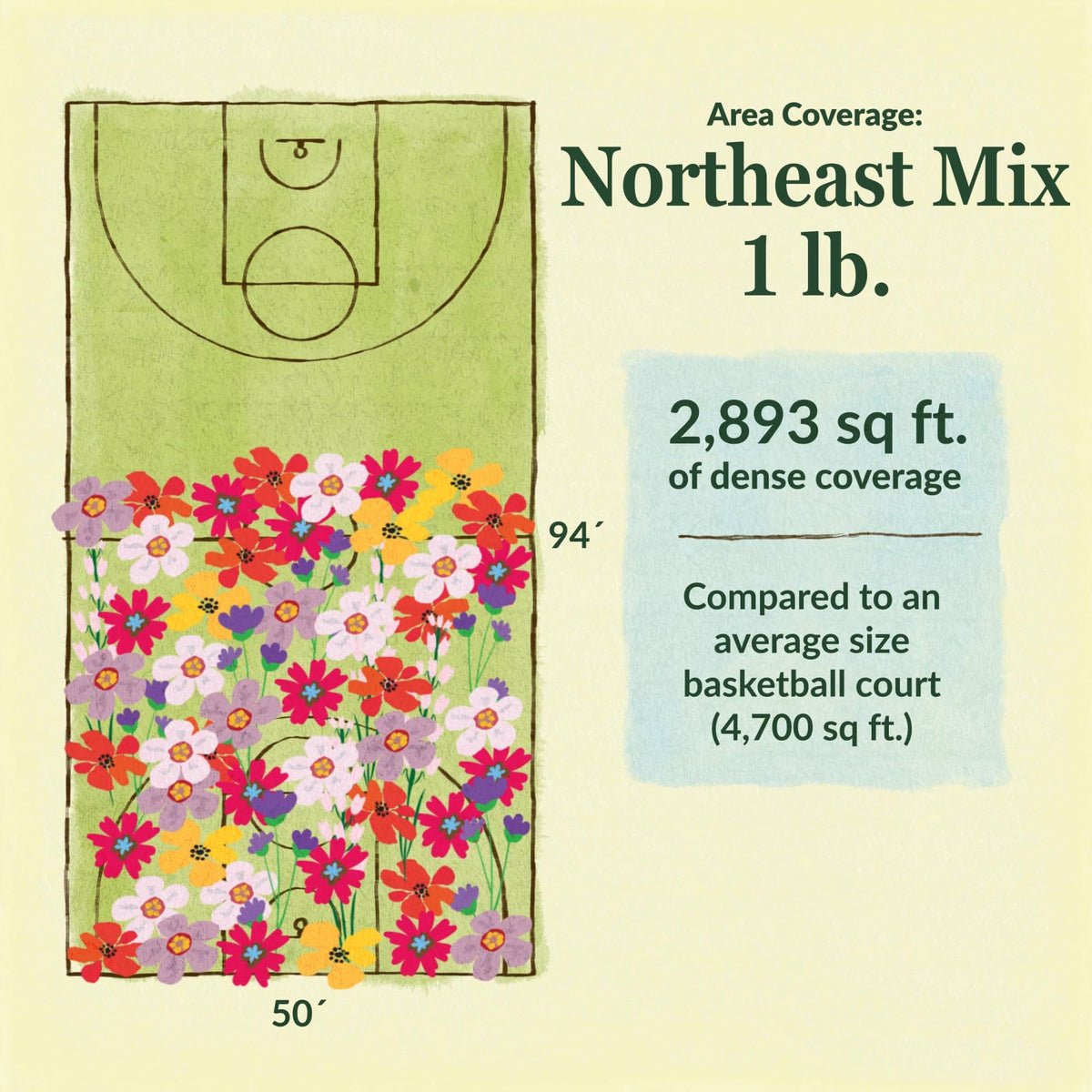 Northeast Mix showing potential layout for annual and perennial density.