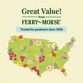 Spring to summer bloom potential of Ferry Morse Northeast Mix in full sun.