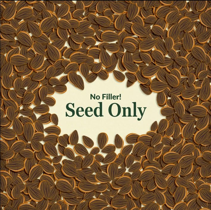 Ferry Morse Northeast cut-flower garden seeds for fresh bouquets.