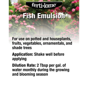 Ferti-lome fish emulsion being diluted for garden and houseplants