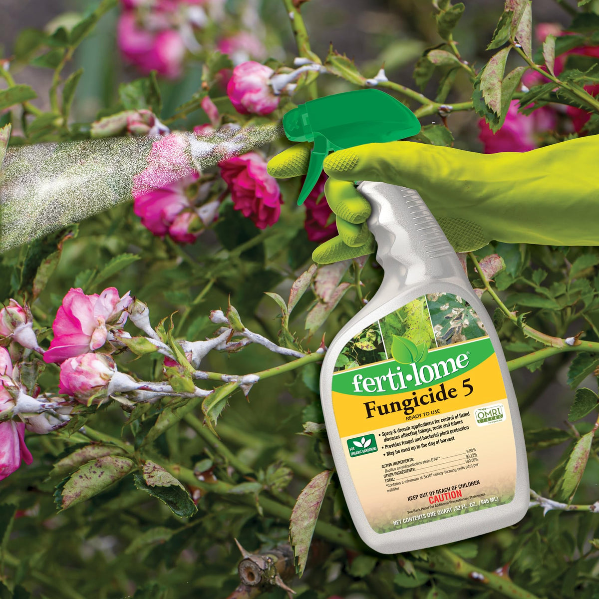 Ferti-lome Fungicide 5 RTU spray bottle for indoor and outdoor plant protection.