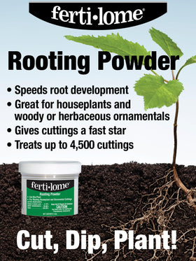 Ferti-lome rooting powder being used to dip a cutting before planting for stronger roots