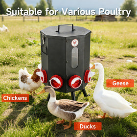 Fewuto clear acrylic window on feeder shows remaining feed at a glance.