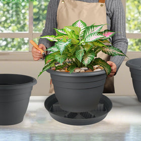 Feyvdzv easy-clean surface resists stains after watering