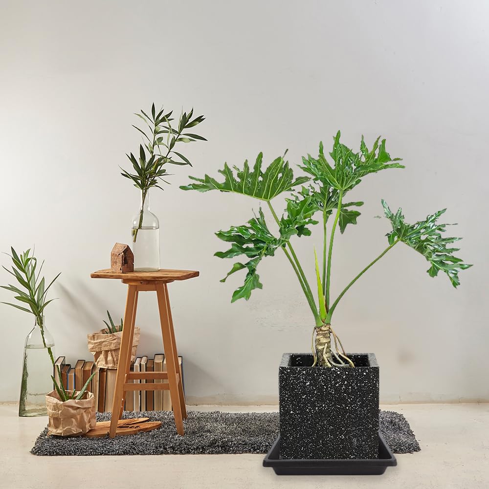 Feyvdzv square plant saucer 16-inch fits big pots and prevents messes indoors