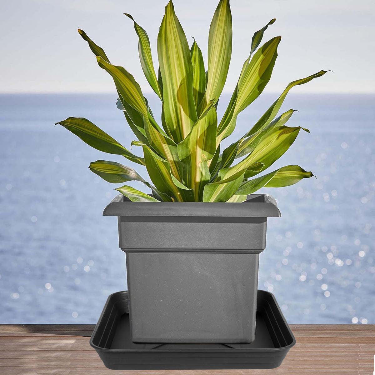 Feyvdzv square plant saucer 16-inch ideal for patios and balconies with pots