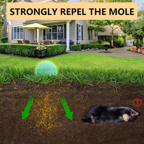 FfordHome Mole Repellent in garden bed protects roots from burrowers