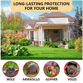 FfordHome Mole Repellent on lawn demonstrates broad coverage for deterrence