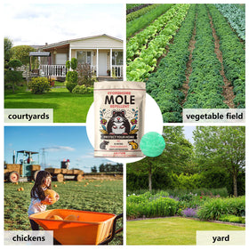 FfordHome Mole Repellent packaging 8balls highlights bulk treatment option