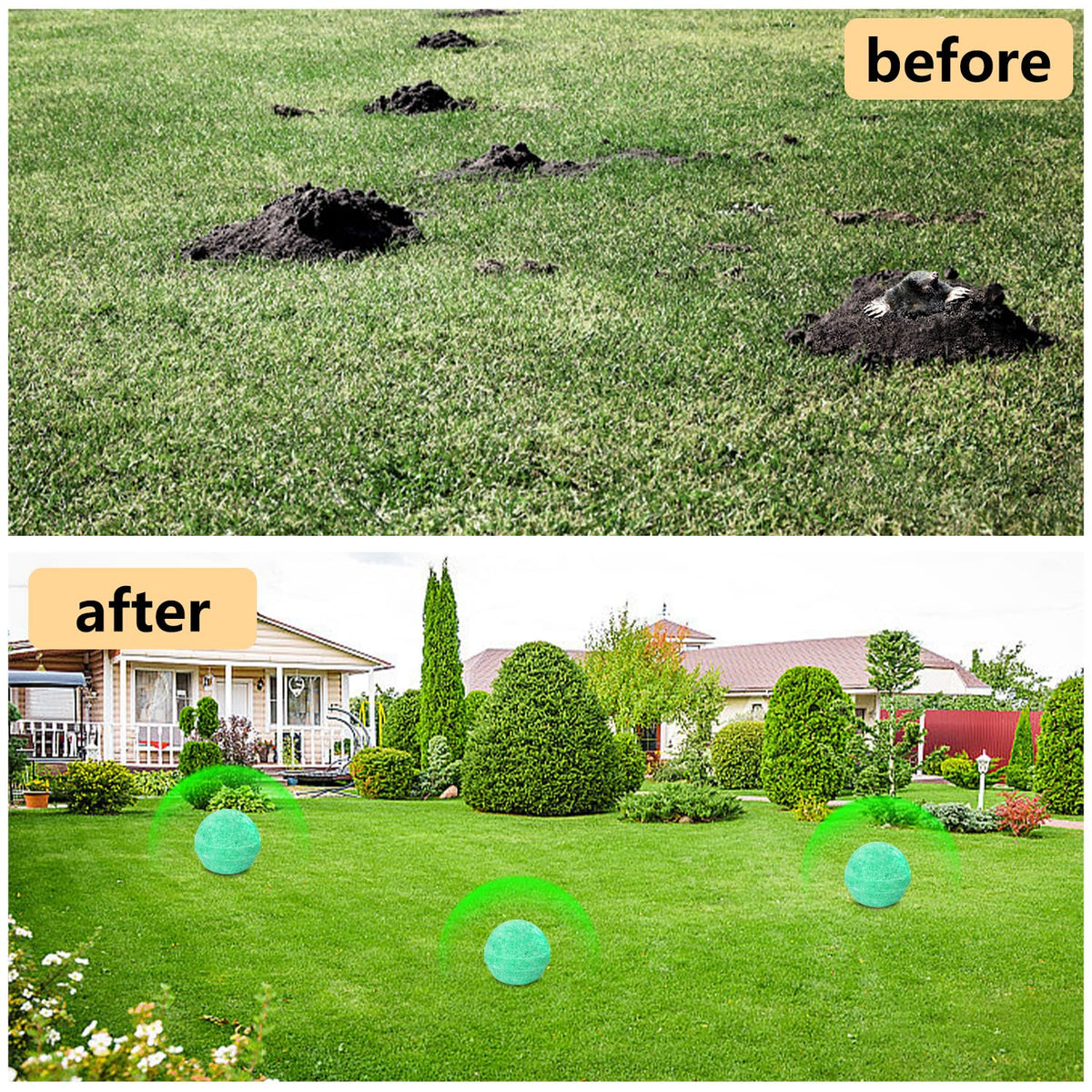 FfordHome Mole Repellent safe formula shown for pet-friendly outdoor use