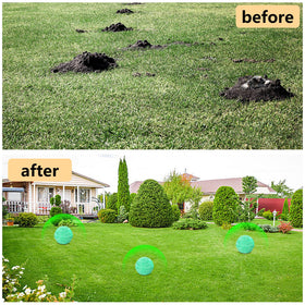 FfordHome Mole Repellent safe formula shown for pet-friendly outdoor use