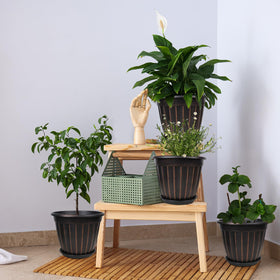 FGstyle 12-inch pots on a windowsill for herbs and decor.