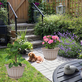 FGstyle beige planter with saucer keeps surfaces tidy and organized