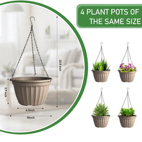 FGstyle hanging planter succulents collection demonstrates versatile plant compatibility