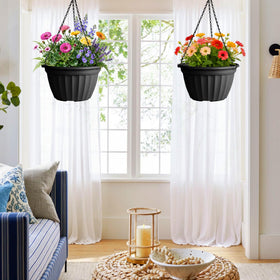 FGstyle six-pack setup creates a cohesive home garden display.