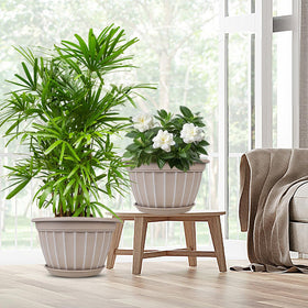 FGstyle sturdy plastic planter suitable for indoor and outdoor use