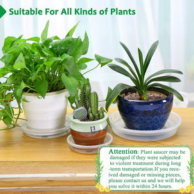 FHWTY set of 8 clear plant saucers displayed together