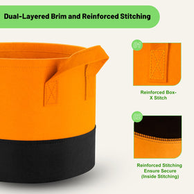 Fhyisble black heat-absorbing base warming the root zone.