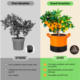 Fhyisble temperature-control bag stabilizes soil warmth for diverse crops.