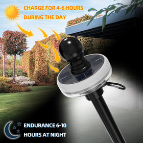 FIASON solar flag pole light sun charging powers overnight illumination.