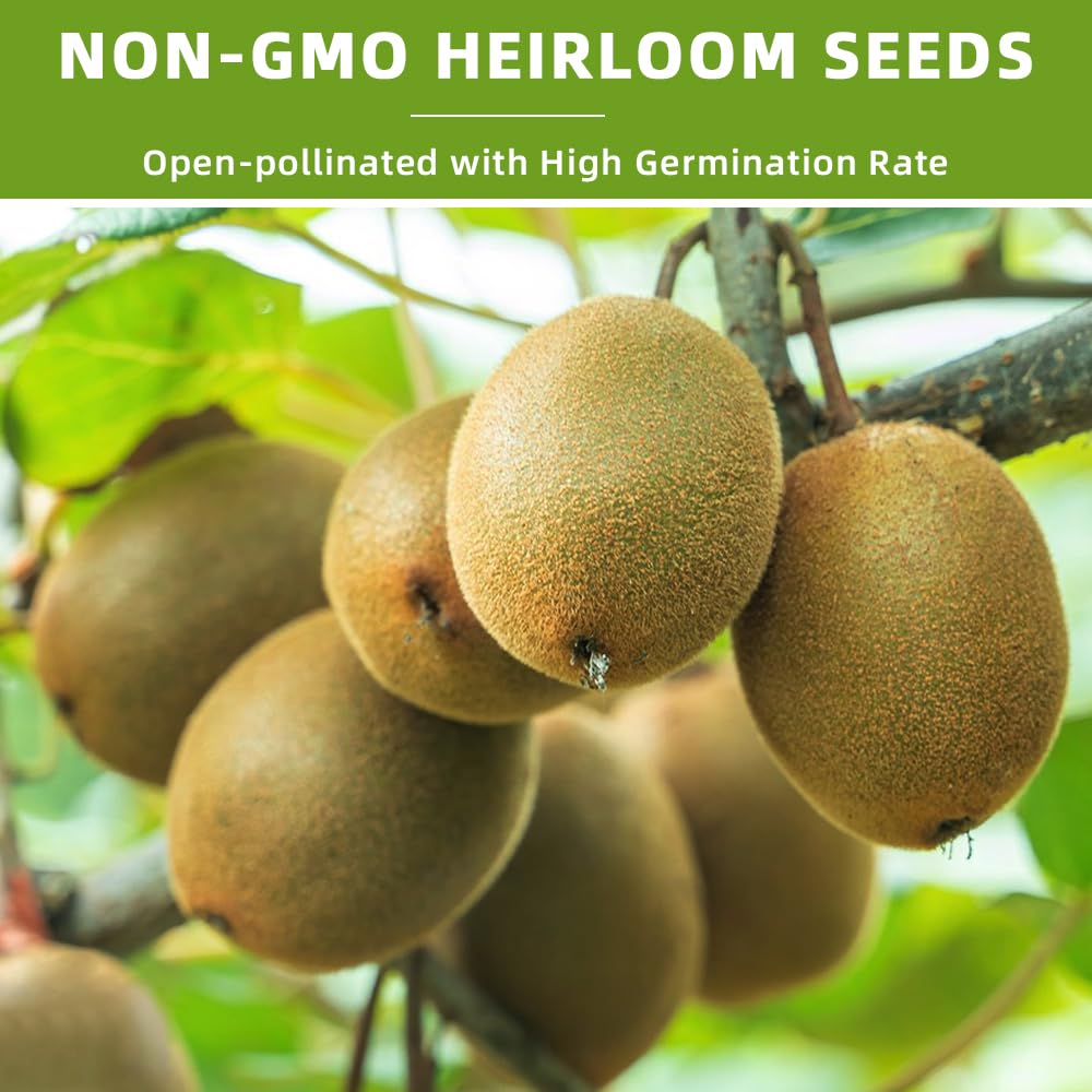 Ficoszo fig seeds mulch and moisture setup promotes steady germination