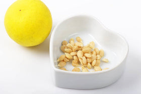Ficoszo lemon-seed-soaking-step demonstrates overnight soak for improved germination.