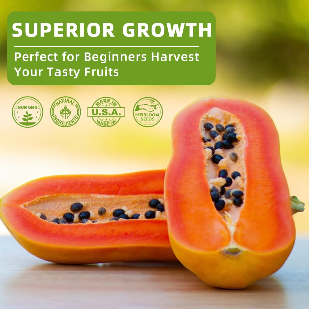 Ficoszo orange seeds packaging supports careful planting for fresh fruit
