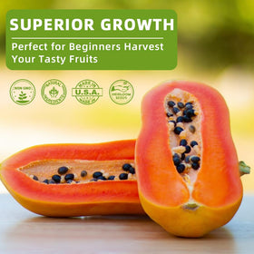 Ficoszo orange seeds packaging supports careful planting for fresh fruit