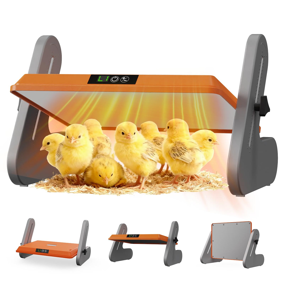Ficuswin brooder plate warms chicks in the coop with gentle radiant heat.