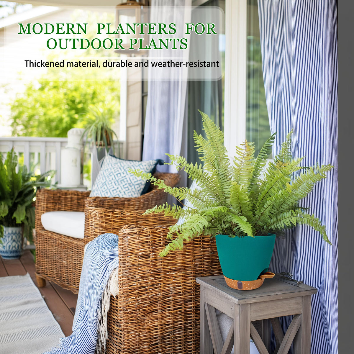 Fielda two-pack display-ready for home or office decor.