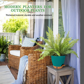 Fielda two-pack display-ready for home or office decor.