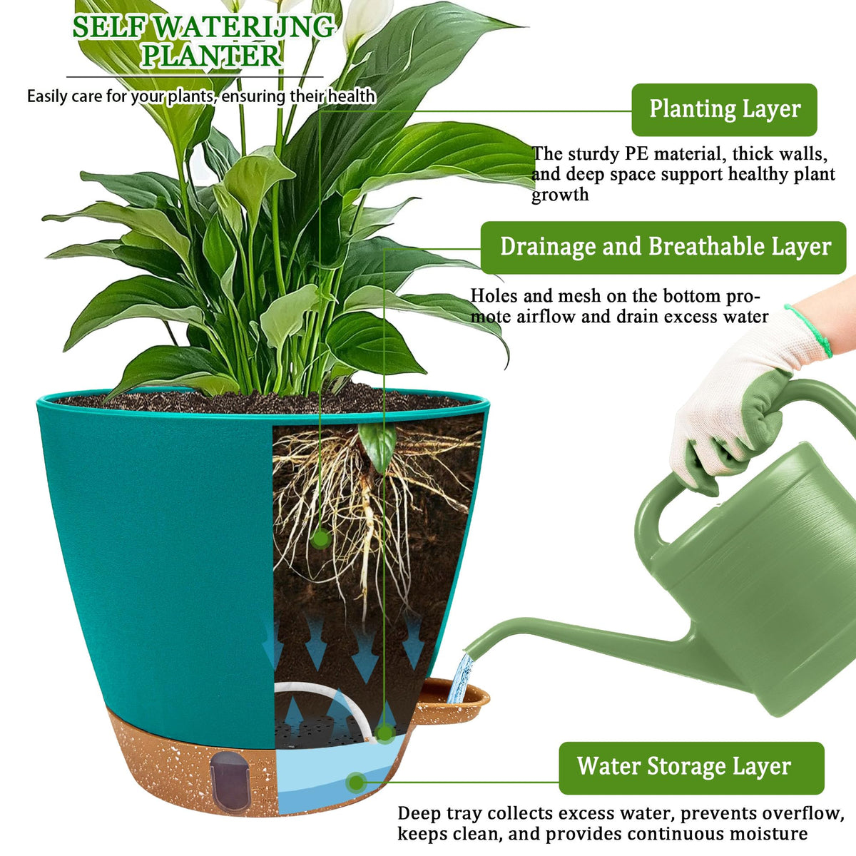 Fielda deep reservoir 8-inch pot reduces frequent watering needs.