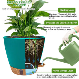 Fielda deep reservoir 8-inch pot reduces frequent watering needs.