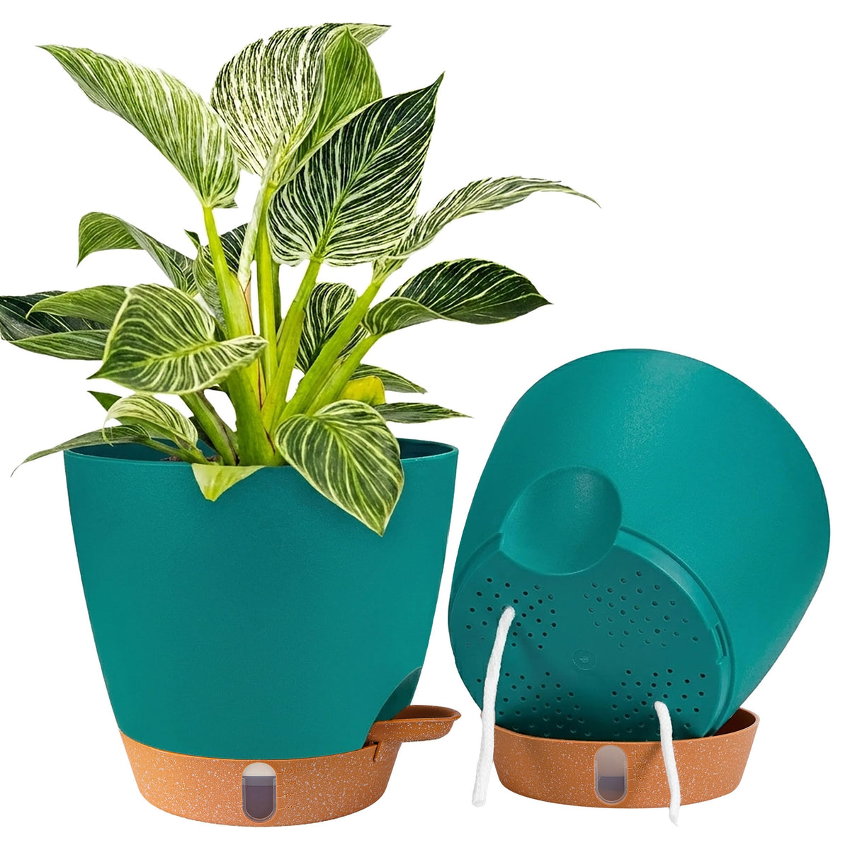 Fielda 8-inch self-watering pot with clear window for easy moisture checks.