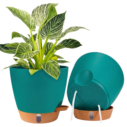 Fielda 8-inch self-watering pot with clear window for easy moisture checks.