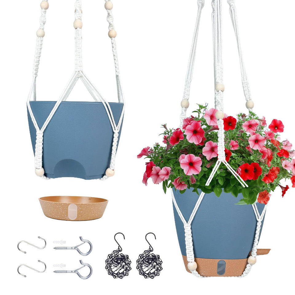 Fielda hanging planter with water window shows moisture at a glance for healthier roots.