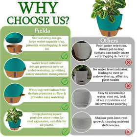 Fielda not for large fiddle leaf figs or vegetables.