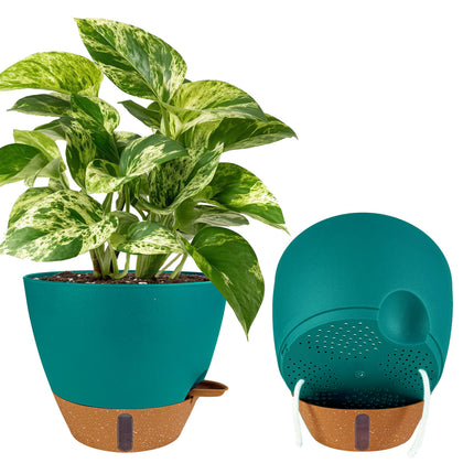 Fielda two pack 10 inch self watering pot turquoise for easy moisture control.