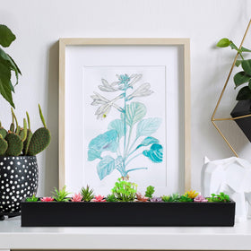 FillTouch window sill setup featuring long rectangular planter with herbs.