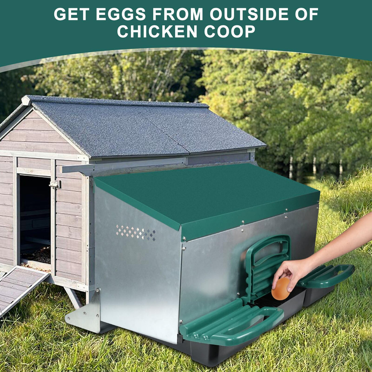 Filterhualv removable plastic egg tray for quick, hygienic cleaning.