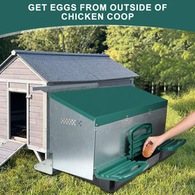 Filterhualv removable plastic egg tray for quick, hygienic cleaning.
