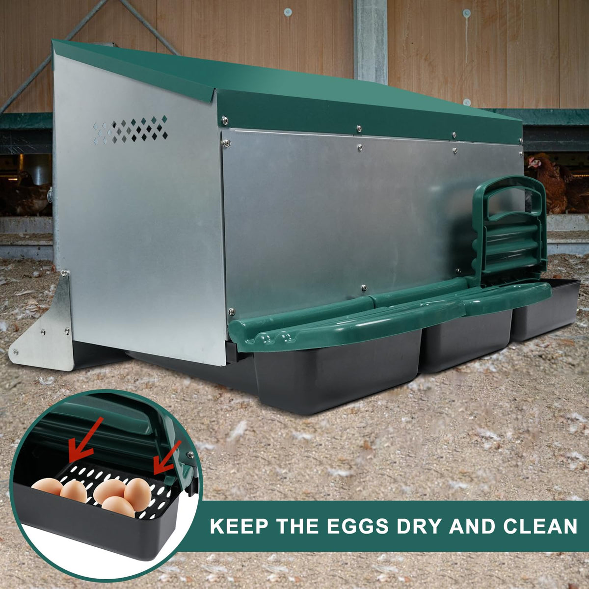 Filterhualv roll-away egg tray keeps eggs clean during daily collection.