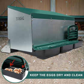 Filterhualv roll-away egg tray keeps eggs clean during daily collection.