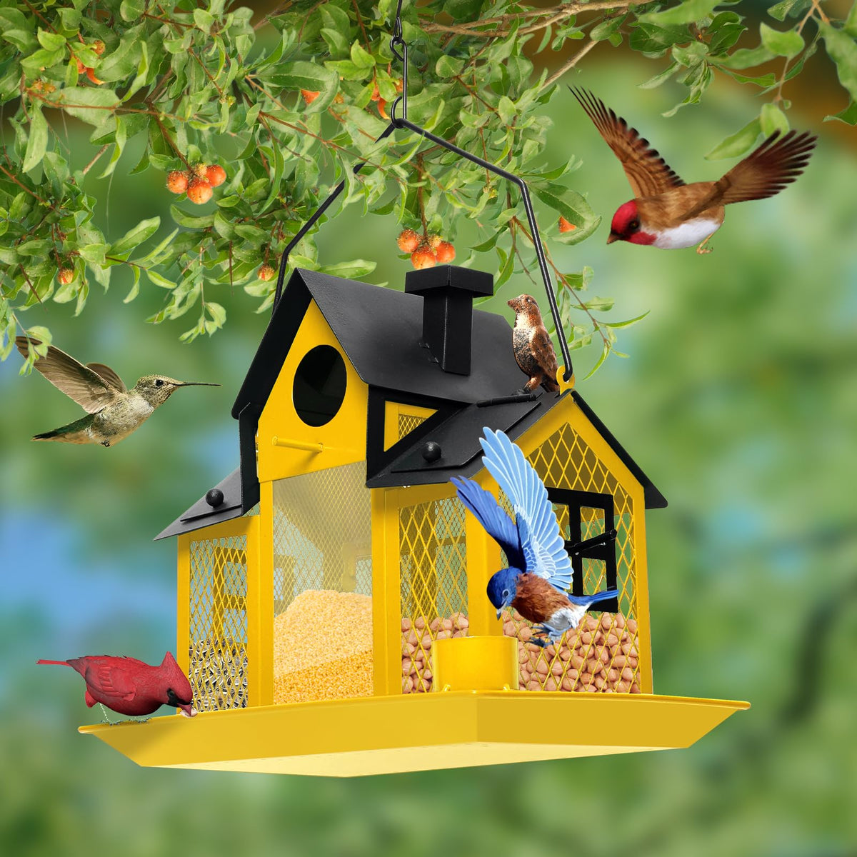 FIMOFIDRE backyard feeder attracting cardinals and finches